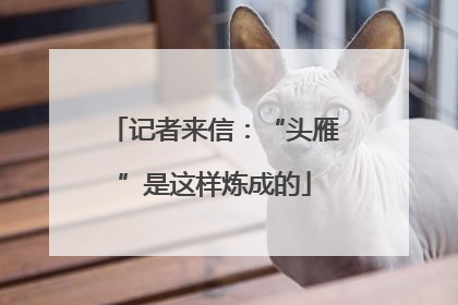 记者来信：“头雁”是这样炼成的
