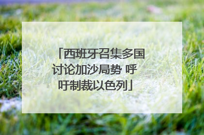 西班牙召集多国讨论加沙局势 呼吁制裁以色列