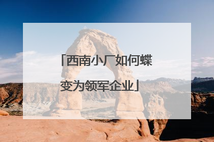 西南小厂如何蝶变为领军企业
