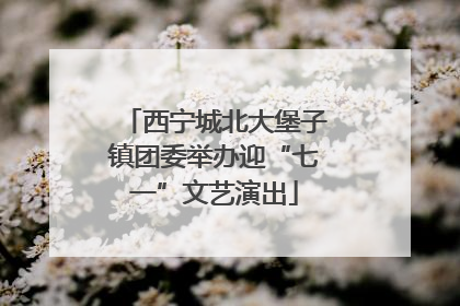 西宁城北大堡子镇团委举办迎“七一”文艺演出