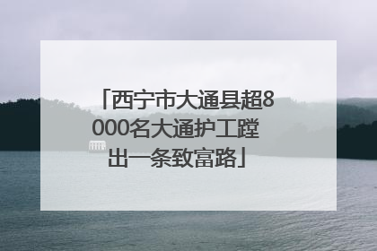 西宁市大通县超8000名大通护工蹚出一条致富路