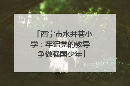 西宁市水井巷小学：牢记党的教导 争做强国少年