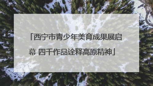 西宁市青少年美育成果展启幕 四千作品诠释高原精神