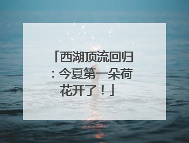 西湖顶流回归：今夏第一朵荷花开了！