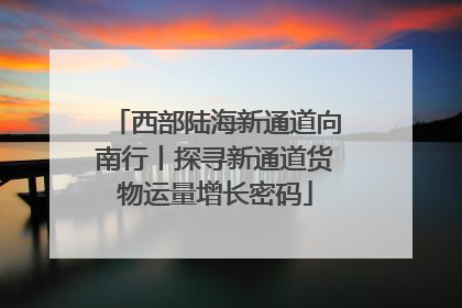 西部陆海新通道向南行丨探寻新通道货物运量增长密码