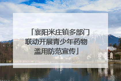 襄阳米庄镇多部门联动开展青少年药物滥用防范宣传