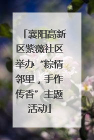 襄阳高新区紫薇社区举办“粽情邻里，手作传香”主题活动