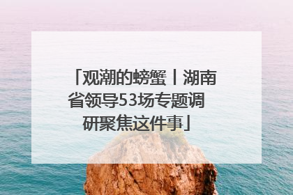 观潮的螃蟹丨湖南省领导53场专题调研聚焦这件事