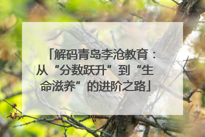 解码青岛李沧教育：从“分数跃升”到“生命滋养”的进阶之路