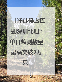 迁徙候鸟挥别深圳北归：单日监测数量最高突破2万只