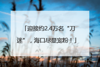 迎接约2.4万名“刀迷”，海口尽显宠粉！