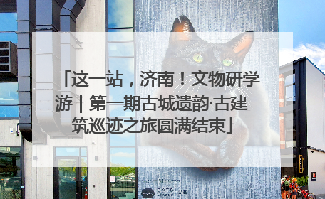 这一站，济南！文物研学游｜第一期古城遗韵·古建筑巡迹之旅圆满结束