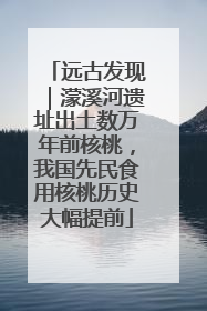 远古发现｜濛溪河遗址出土数万年前核桃，我国先民食用核桃历史大幅提前