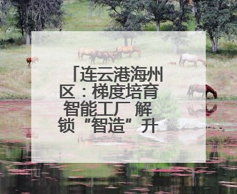 连云港海州区：梯度培育智能工厂 解锁“智造”升级新密码