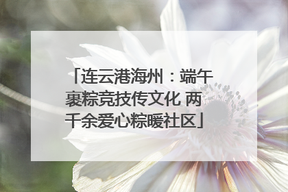 连云港海州：端午裹粽竞技传文化 两千余爱心粽暖社区