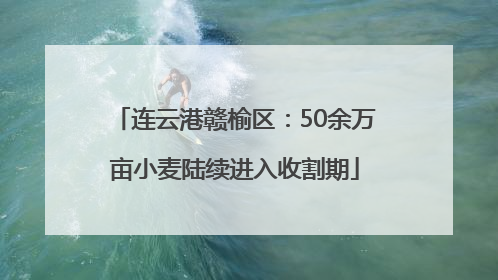 连云港赣榆区：50余万亩小麦陆续进入收割期