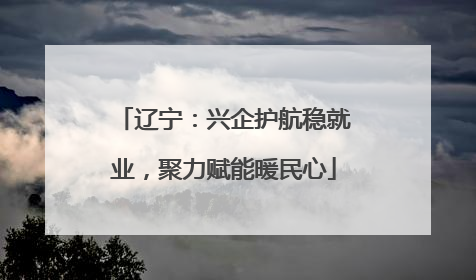 辽宁：兴企护航稳就业，聚力赋能暖民心