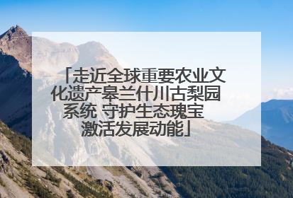 走近全球重要农业文化遗产皋兰什川古梨园系统 守护生态瑰宝 激活发展动能