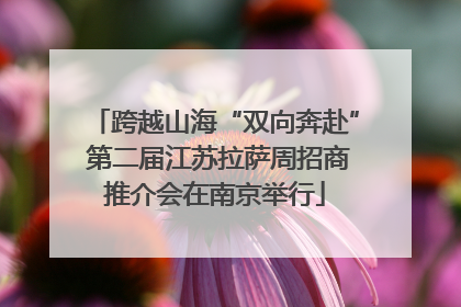 跨越山海“双向奔赴” 第二届江苏拉萨周招商推介会在南京举行