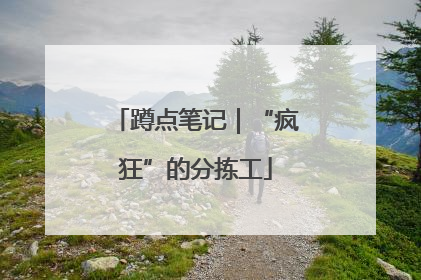 蹲点笔记｜“疯狂”的分拣工