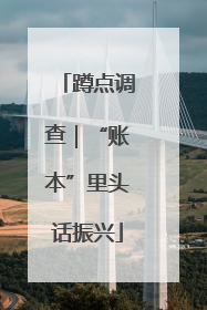 蹲点调查｜“账本”里头话振兴