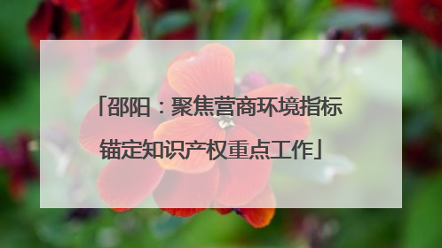 邵阳：聚焦营商环境指标 锚定知识产权重点工作