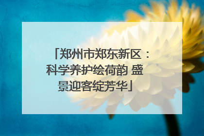 郑州市郑东新区：科学养护绘荷韵 盛景迎客绽芳华