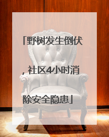 野树发生倒伏，社区4小时消除安全隐患
