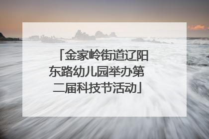 金家岭街道辽阳东路幼儿园举办第二届科技节活动