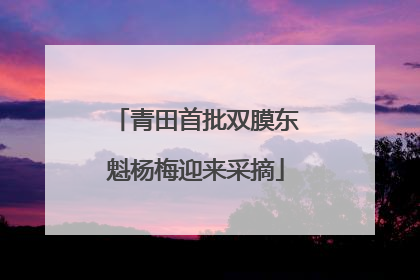 青田首批双膜东魁杨梅迎来采摘