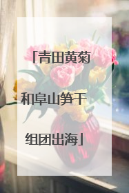 青田黄菊和阜山笋干组团出海