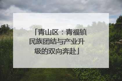 青山区：青福镇民族团结与产业升级的双向奔赴