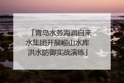 青岛水务海润自来水集团开展崂山水库洪水防御实战演练