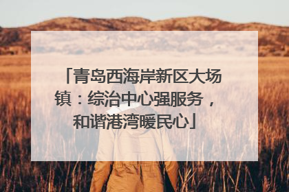 青岛西海岸新区大场镇：综治中心强服务，和谐港湾暖民心