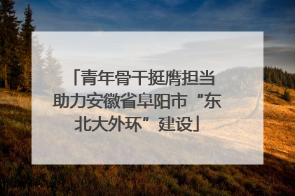 青年骨干挺膺担当 助力安徽省阜阳市“东北大外环”建设