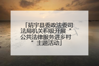 靖宇县委政法委司法局机关积极开展“公共法律服务进乡村”主题活动