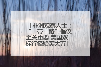 非洲观察人士：“一带一路”倡议至关重要 美国双标行径贻笑大方