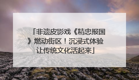 非遗皮影戏《精忠报国》燃动街区！沉浸式体验让传统文化活起来