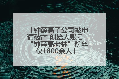 钟薛高子公司被申请破产 创始人账号“钟薛高老林”粉丝仅1800余人