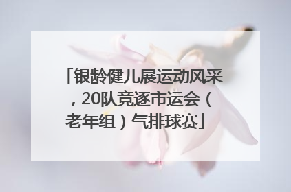 银龄健儿展运动风采，20队竞逐市运会（老年组）气排球赛