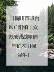 铜川市印台区广阳镇：众志成城战旱情 守护农田保民生
