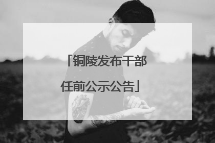 铜陵发布干部任前公示公告
