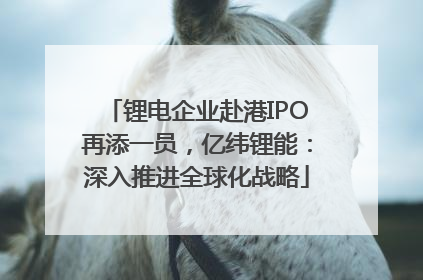 锂电企业赴港IPO再添一员，亿纬锂能：深入推进全球化战略