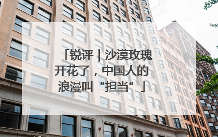 锐评｜沙漠玫瑰开花了，中国人的浪漫叫“担当”