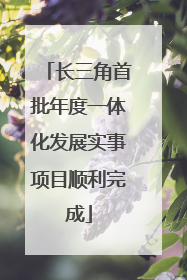 长三角首批年度一体化发展实事项目顺利完成