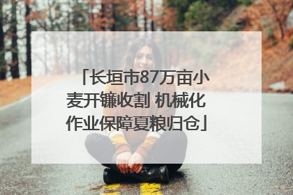 长垣市87万亩小麦开镰收割 机械化作业保障夏粮归仓