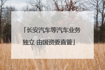 长安汽车等汽车业务独立 由国资委直管