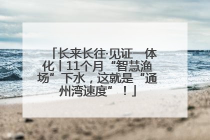 长来长往·见证一体化丨11个月“智慧渔场”下水，这就是“通州湾速度”！