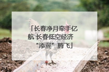 长春净月牵手亿航 长春低空经济“添翼”腾飞