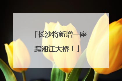 长沙将新增一座跨湘江大桥！